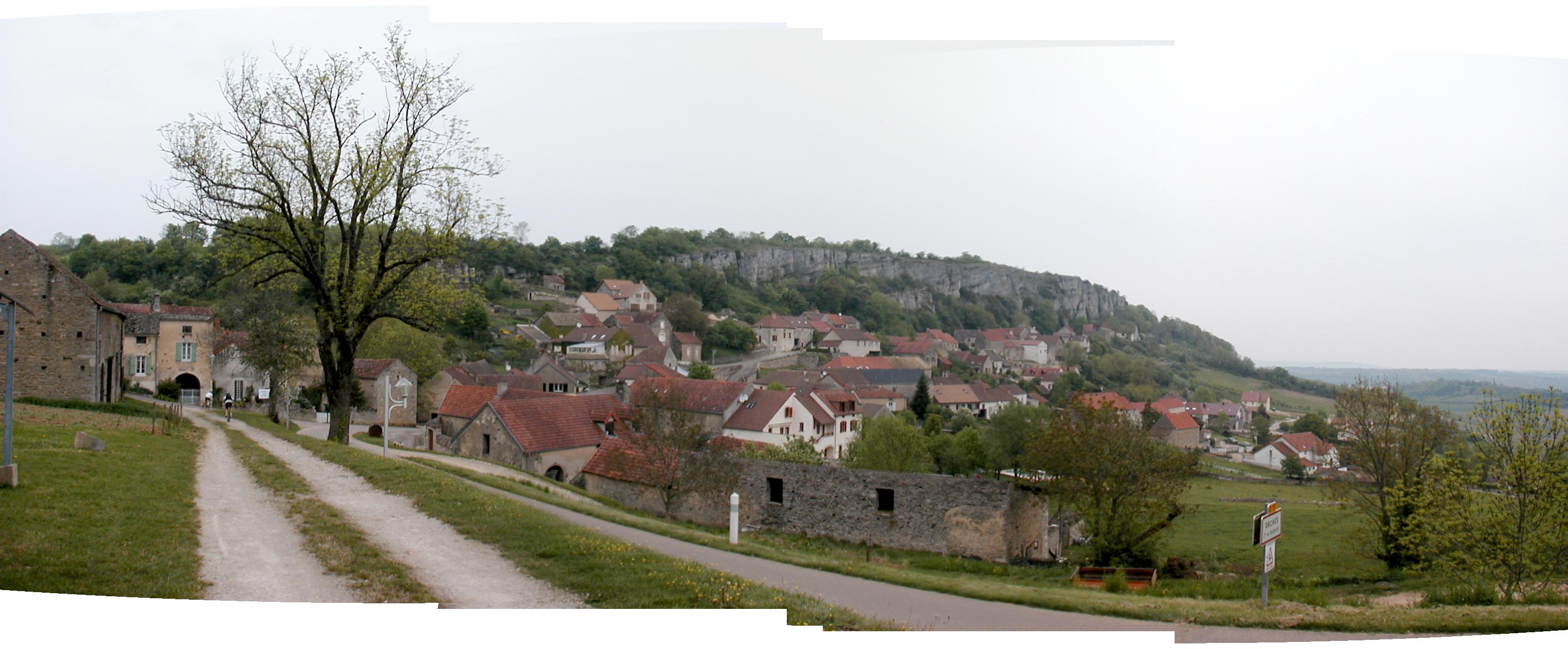 Orches
